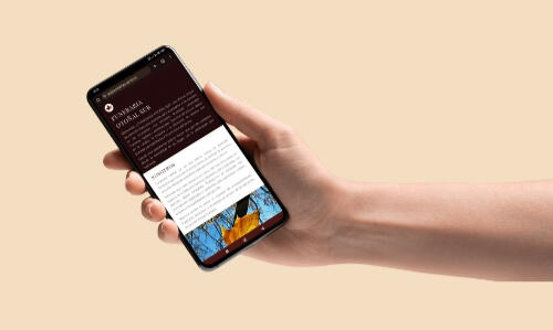 PRESENTACIÓN Nosotros